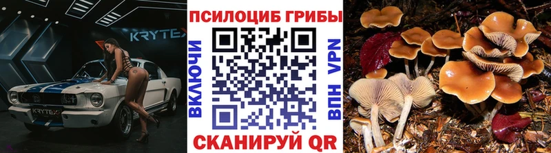 что такое   Гусь-Хрустальный  Галлюциногенные грибы мухоморы 